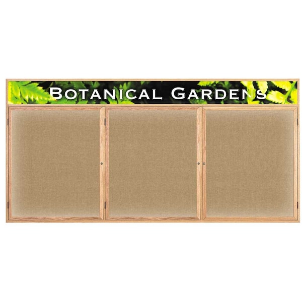 Open Faced Traditional Corkboard, 48x36"
